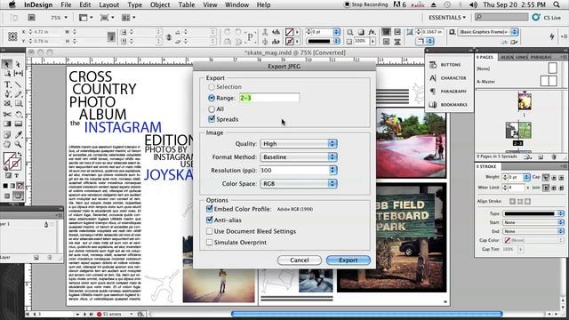 How to Rasterize in InDesign : InDesign  Graphics