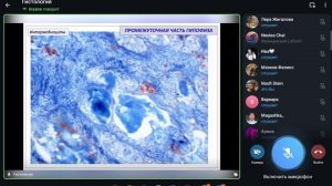 Лекция Глинкиной, эндокринная система