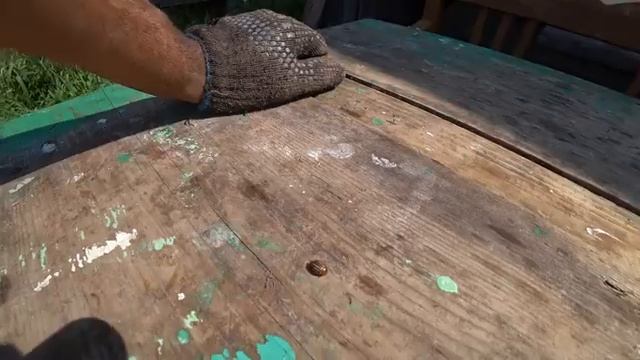 ПЯТЫЙ ДЕНЬ БОРЬБЫ С СОРНЯКАМИ НА ОГОРОДЕ / ВСЕ ТАКИ Я ЭТО СДЕЛАЛ! смотреть онлайн