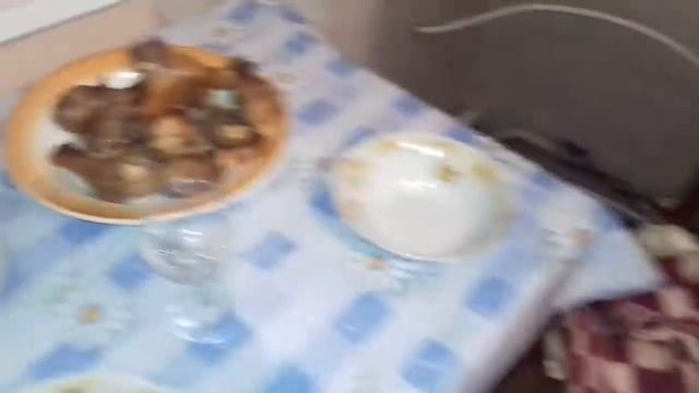 Голень куриная горячего копчения на даче смотреть онлайн