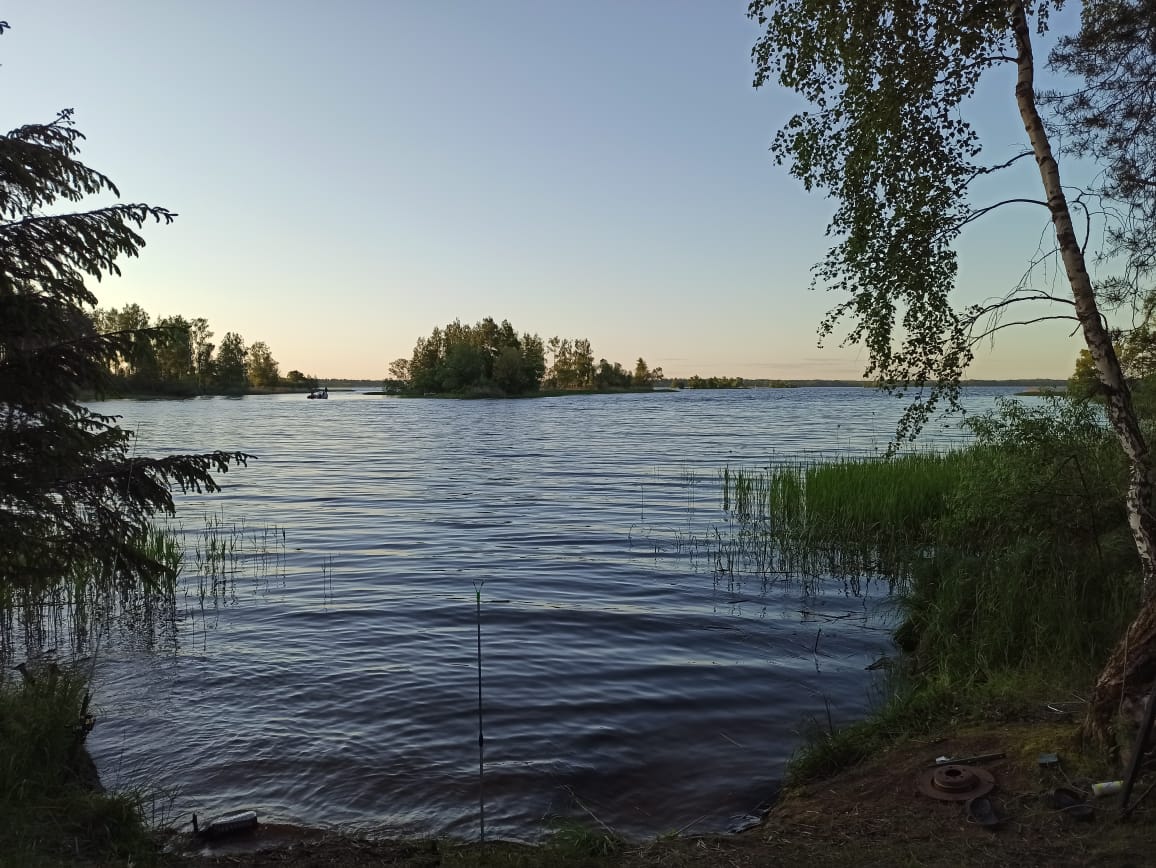 Дождался поклёвки . РЫБАЛКА   БОБРЫ   И  ПОГОДА . Рыбалка с берега на донки леща продолжаеться.