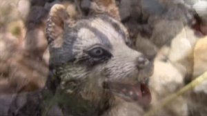 Истории стаи 2.0 7ep. "Роберт" (шляйх сериал)