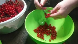 Калина - обработка из грозди,мастеркласс