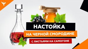 рДЖ 18: Настойка на черной смородине с листьями на самогоне