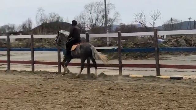 ОФП во время карантина. смотреть онлайн