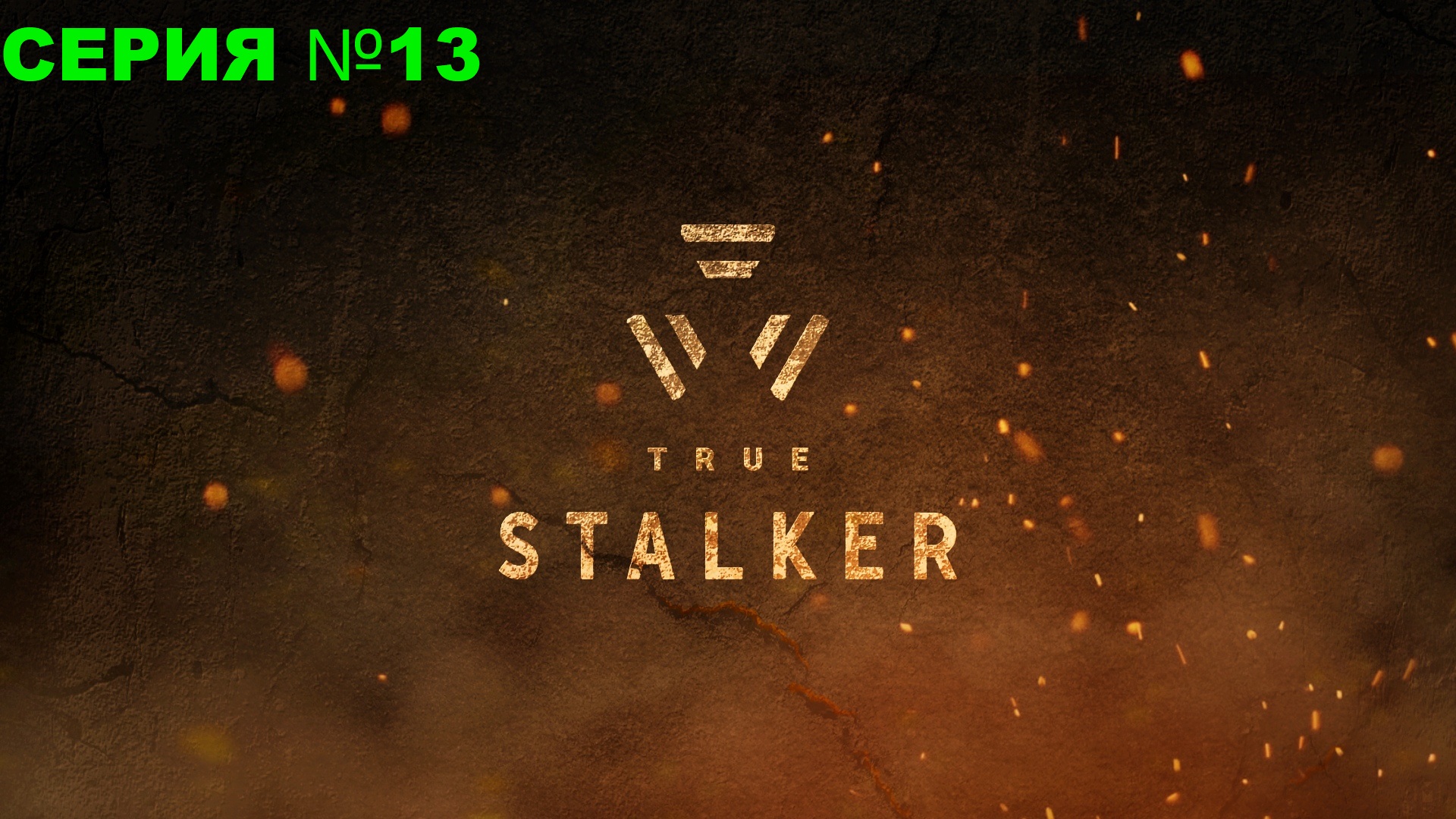 True Stalker/ Настоящий сталкер / Прохождение/ серия 13/ Детектор Сварог
