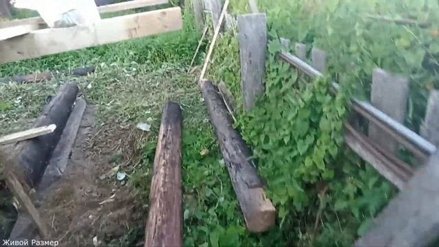 Как собрать сруб на мох без конопатки