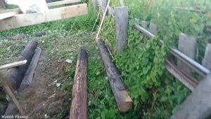 Как собрать сруб на мох без конопатки