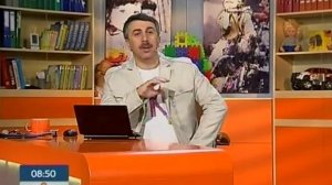 Стоит ли беременным опасаться кошек?