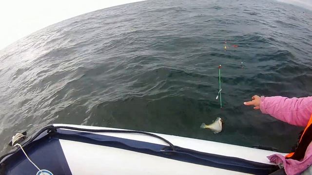 Уссурийский залив,ловля камбалы в приморском крае 2019 смотреть онлайн