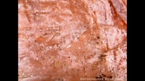 Почему гниет лук при хранении.