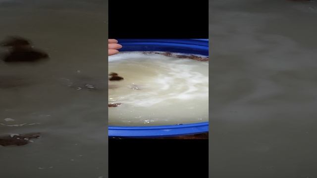 Лайфхак для браги.