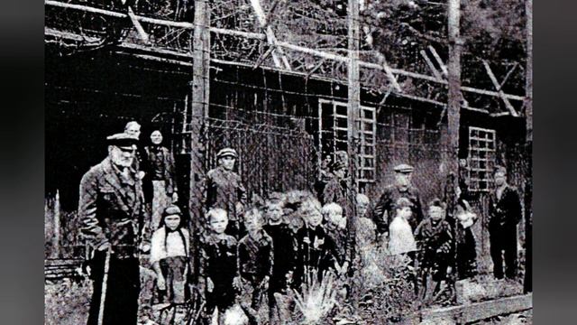 Собачье сердце. Как пёс помог девочке выжить в концлагере #историяизжизни