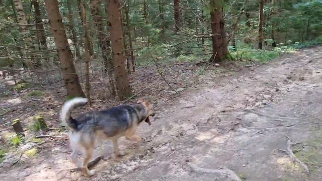 Деревня 2022(Степаньково) смотреть онлайн