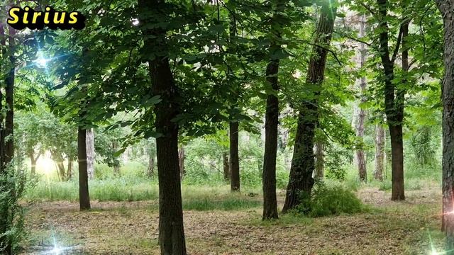 10 августа Прохоров день: что категорически нельзя делать смотреть онлайн