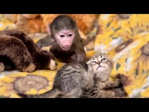 Люська НЕ ПОШЛА в Детский сад и ДОСТАЁТ по полной котят)))
