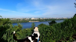 Прогулка сТанком в парке "Швейцария" Нижний Новгород