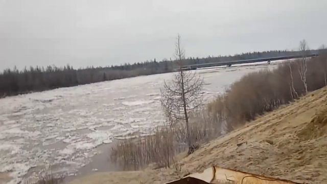Новый Уренгой
