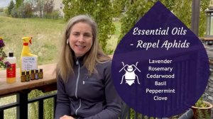 Organic Gardening Tips - Best Essential Oils for Garden Pests