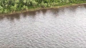 Тропа предков.