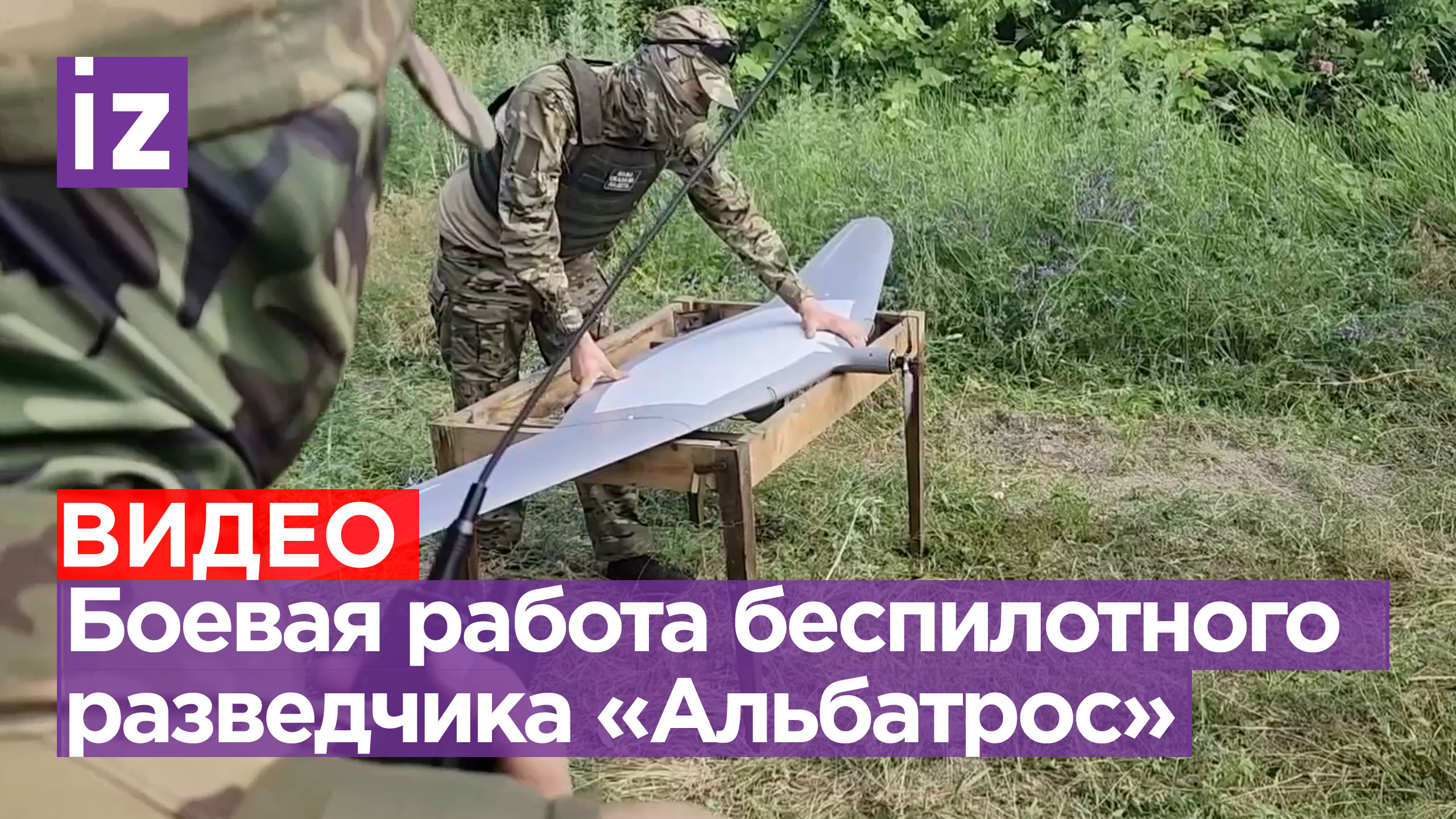 Альбатрос 1916. Как получить альбатрос разведчик. Самолет альбатрос фрэнк. Iii. Альбатрос разведчик starcraft.