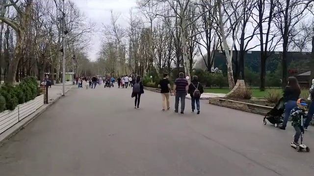 Солнечный остров