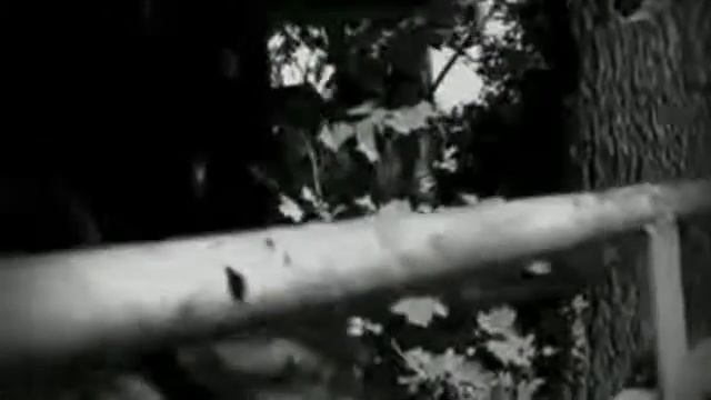 От меня это было прп Серафим Вырицкий смотреть онлайн