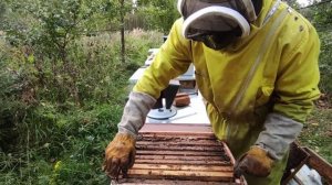 Пчеловодство.Проверка запасов кормов у пчел после закормки сиропом в зиму.Подготовка гнезд к зимовк