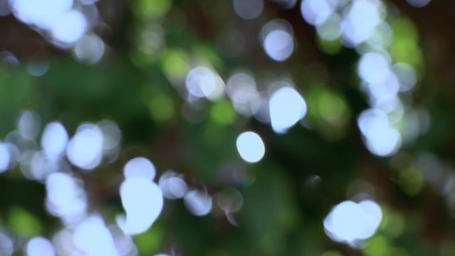 Стихи до мурашек..."Что осталось со мной" смотреть онлайн