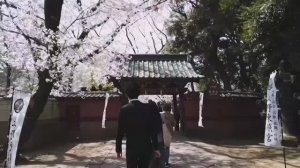 Япония. Токио. Уэно. Храм Ueno Toshogu Shrine.