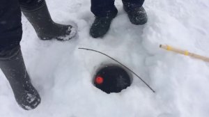 Зимняя рыбалка на реке Амур. Синда, хлопушки победили.