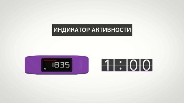 vivofit начало использования