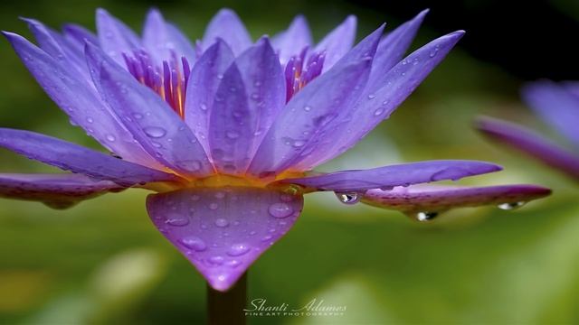 Абрахам Хикс - (Поднимаем Настроение) - Вера в себя смотреть онлайн