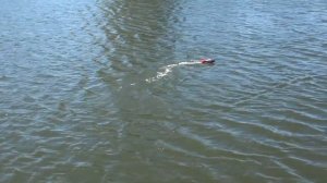 Радиоуправляемая лодка Volantex V795-2 для бассейнов,озёр,рек,морей и океанов?