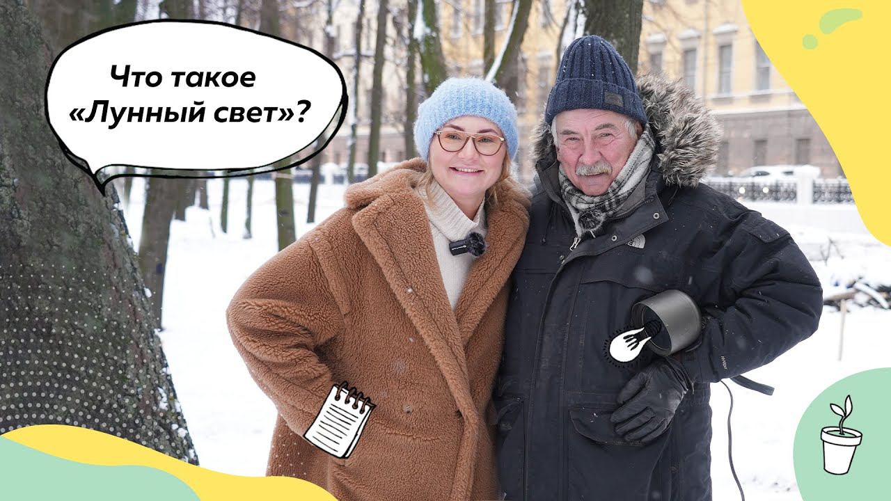 Ландшафтное освещение | Освещение в саду | Ландшафтный свет | "Лунный свет" на участке | Подсветка