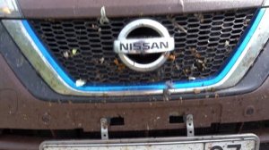 Nissan Note E-Power. Немного про передний длинный номер