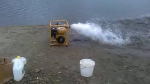 Мотопомпа PTV 406T Robin Subaru