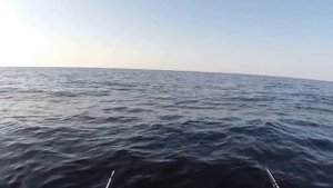 Рыбалка на Белом море 2016 треска
