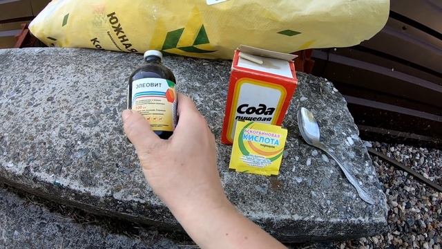 ?️СРОЧНЫЙ ВЫПУСК! Как спасти птицу от жары. Жара 2021 года. смотреть онлайн