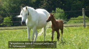 Сборник песен про лошадей  Часть 2