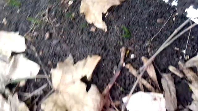 Черемша смотреть онлайн