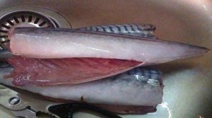 Слабосоленая скумбрия