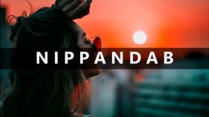 Jay Sean - Ride It (Nippandab Remix) | Official Remix (Audio)