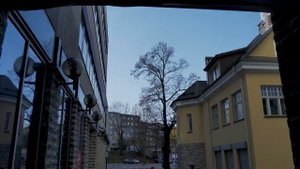 #Таллин #Tallinn #Estonia Прогулка по Таллину | Эстония 2020