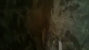 Как снять старую краску с бетона,  железа.  Уничтожитель краски.