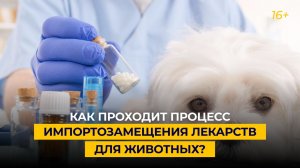 Импортозамещение лекарств для животных | Стоимость средств защиты от клещей для собак