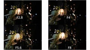 Viltrox 20mm f2.8 review ft. Sony A7Cii (Super Lightweight Ultra Wide Angle)