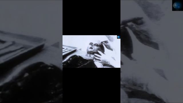 Вскрытие прешельца. Эмери Смит. #инопланетяне #нло #пришельцы #космос #вселенная #ufo #факты смотреть онлайн