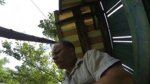 #Удаление клещей у ваших домашних питомцев#Как удалить клеща у котов и собак.