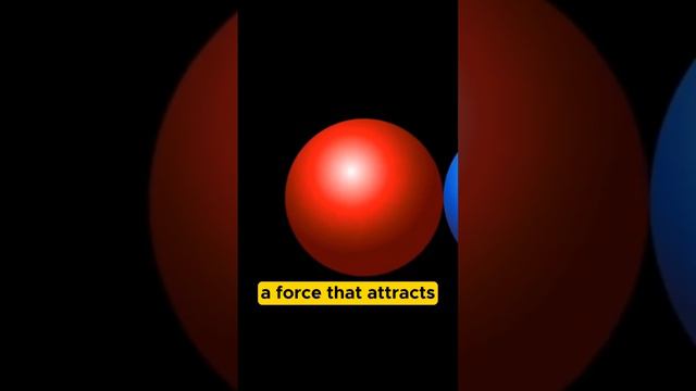 Gravity  The Invisible Force Backing Earth's Roundness